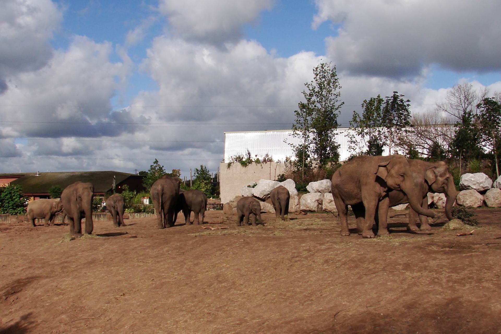 Chester zoo: A family of four Generations Chester zoo: A family of four Generations