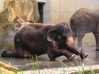 Direkter Kontakt Direkter Kontakt